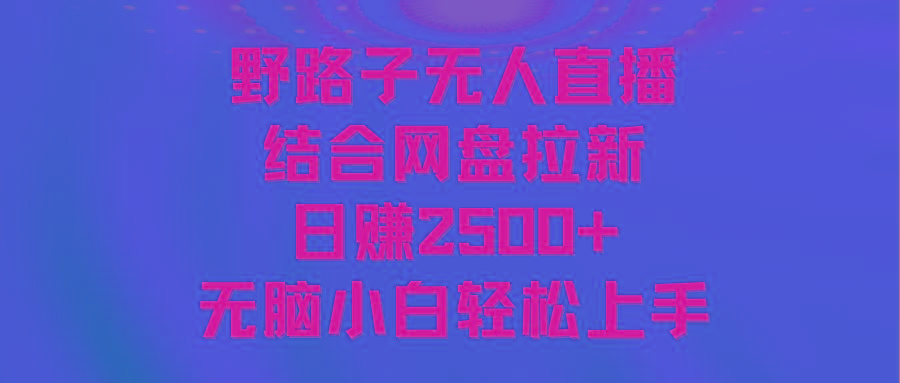 无人直播野路子结合网盘拉新，日赚2500+多平台变现，小白无脑轻松上手操作-E家云商