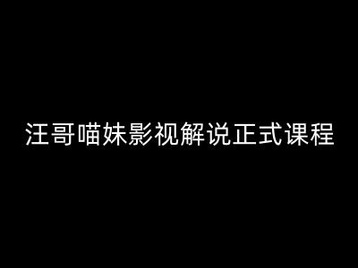 汪哥影视解说正式课程：剪映/PR教学/视解说剪辑5大黄金法则/全流程剪辑7把利器等等-E家云商