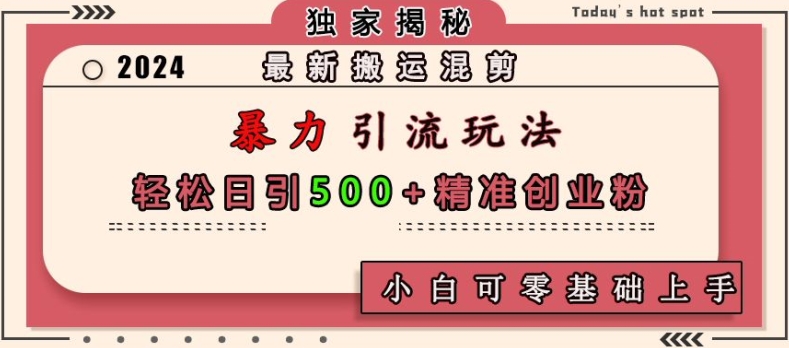 最新搬运混剪暴力引流玩法，轻松日引500+精准创业粉，小白可零基础上手-E家云商