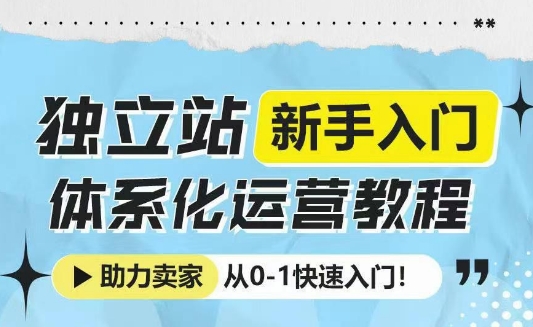 独立站新手入门体系化运营教程，助力独立站卖家从0-1快速入门!-E家云商