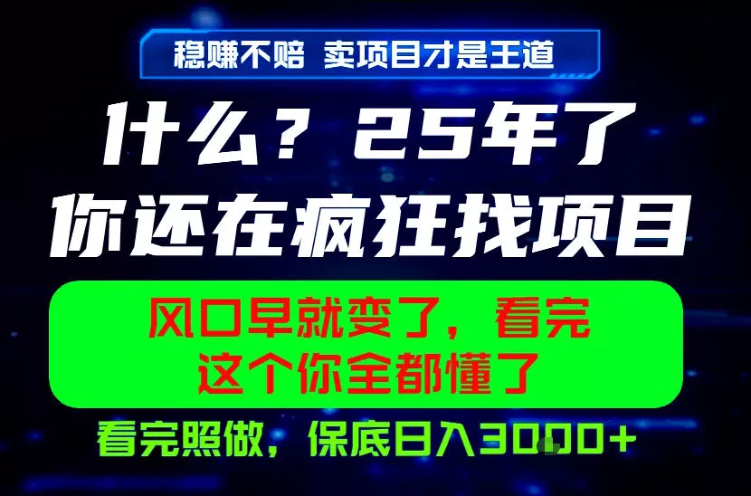 26年，请不要疯狂的找项目做了！卖项目才是真的稳賺不赔，看完照做，保底日入1k+【揭秘】-e家网