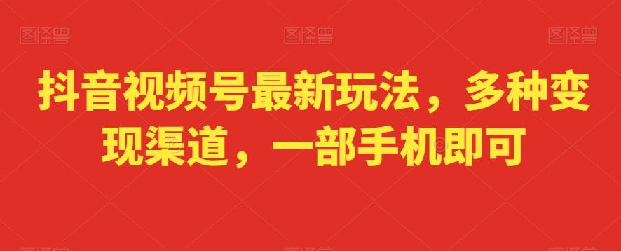 抖音视频号最新玩法，多种变现渠道，一部手机即可-w 刷的
