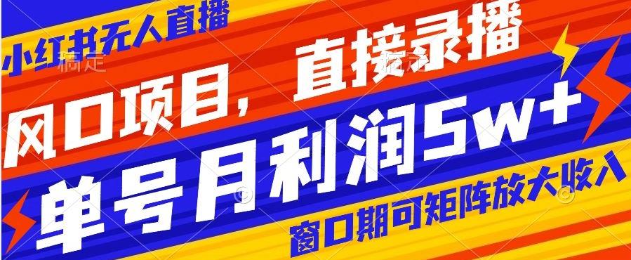 风口项目，小红书无人直播带货，直接录播，可矩阵，月入5w+【揭秘】-E家云商