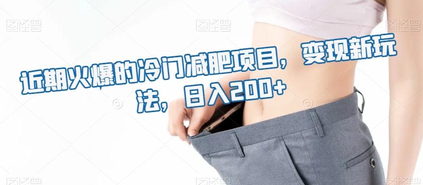 近期火爆的冷门减肥项目，变现新玩法，日入200+-E家云商