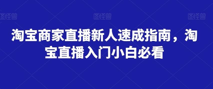 淘宝商家直播新人速成指南，淘宝直播入门小白必看-E家云商
