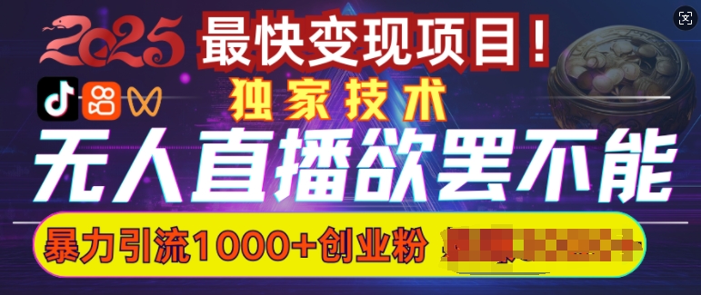 欲罢不能的无人直播引流，超暴力日引流1000+高质量精准创业粉-E家云商