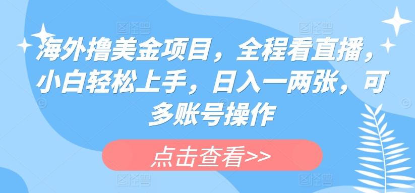 海外撸美金项目，全程看直播，小白轻松上手，日入一两张，可多账号操作【揭秘】-E家云商