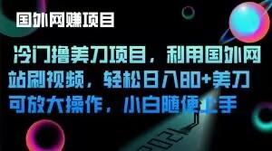 冷门撸美刀项目，利用国外网站刷视频，轻松日入80+美刀，可放大操作，小白随便上手-E家云商