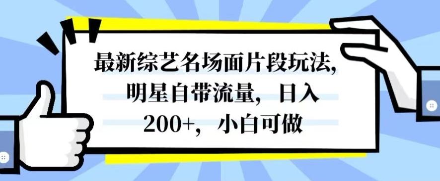 最新综艺名场面片段玩法，明星自带流量，日入200+，小白可做【揭秘】-e家网