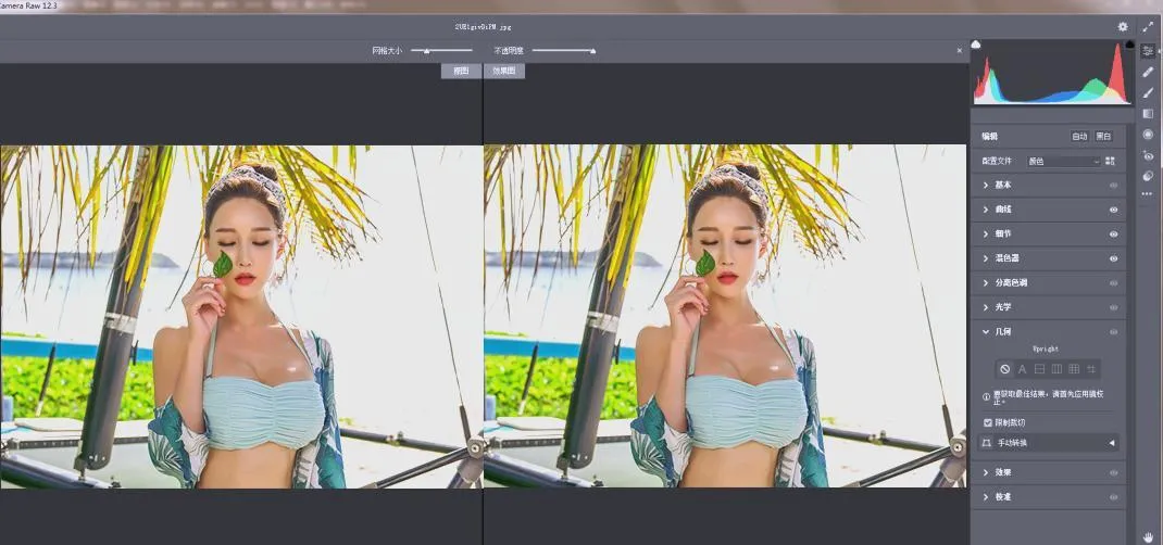 RAW处理Adobe Camera Raw v18.3.2中文版-e家网