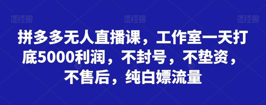 拼多多无人直播课，工作室一天打底5000利润，不封号，不垫资，不售后，纯白嫖流量-E家云商