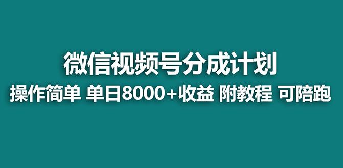 【蓝海项目】视频号分成计划最新玩法，单天收益8000+，附玩法教程，24年...-e家网