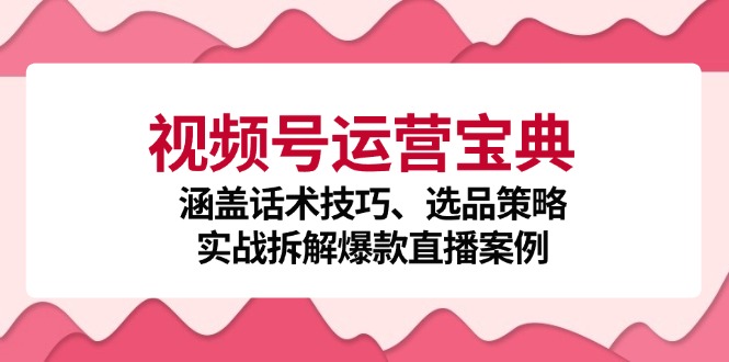 视频号运营宝典：涵盖话术技巧、选品策略、实战拆解爆款直播案例-E家云商