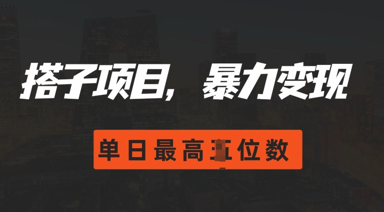 2024搭子玩法，0门槛，暴力变现，单日最高破四位数【揭秘】-E家云商