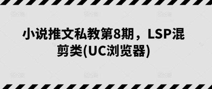 小说推文私教第8期，LSP混剪类(UC浏览器)-E家云商