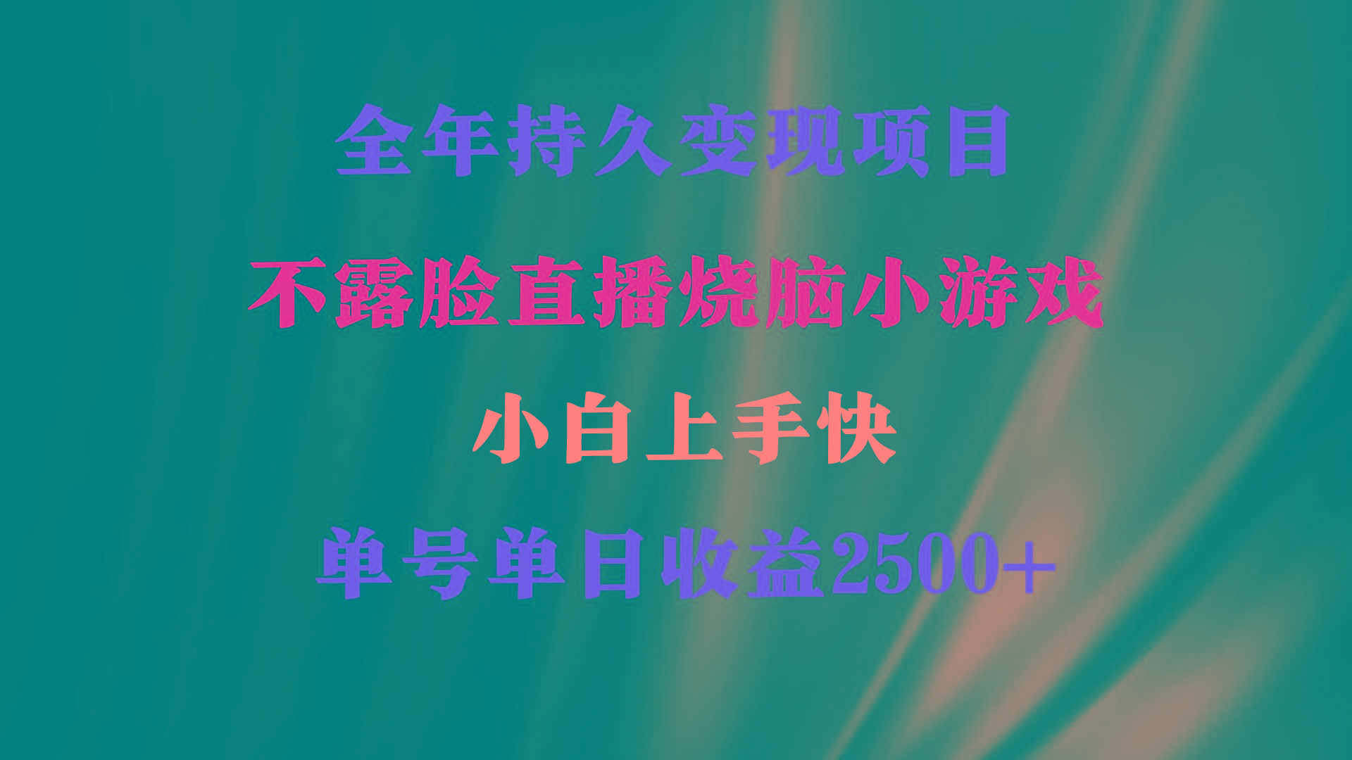 2024年 最优项目，烧脑小游戏不露脸直播  小白上手快 无门槛 一天收益2500+-E家云商