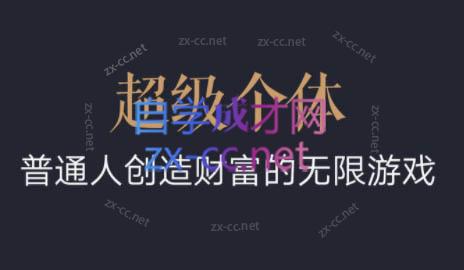 超级个体·普通人创造财富的无限游戏-E家云商