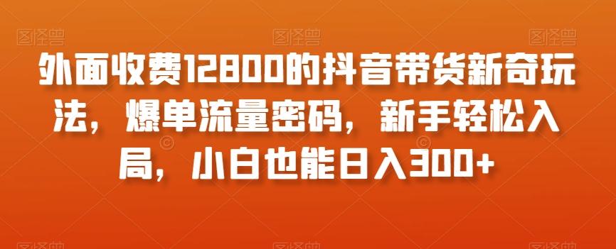 外面收费12800的抖音带货新奇玩法，爆单流量密码，新手轻松入局，小白也能日入300+【揭秘】-w 刷的