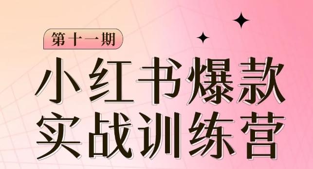 小红书博主爆款训练营第11期，手把手教你从0-1做小红书，从定位到起号到变现-E家云商
