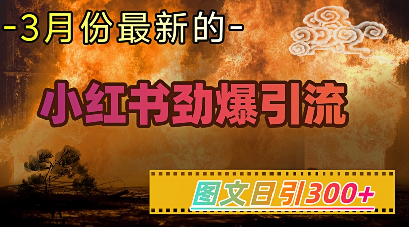 小红书超劲爆引流手段，图文日引300+轻松变现1W-E家云商