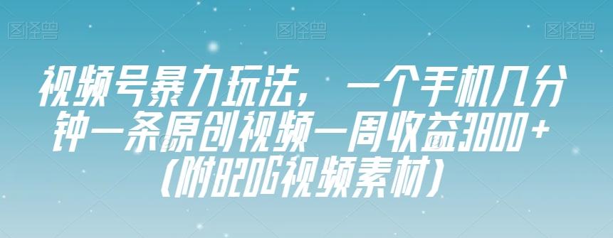 视频号暴力玩法，一个手机几分钟一条原创视频一周收益3800+（附820G视频素材）-E家云商