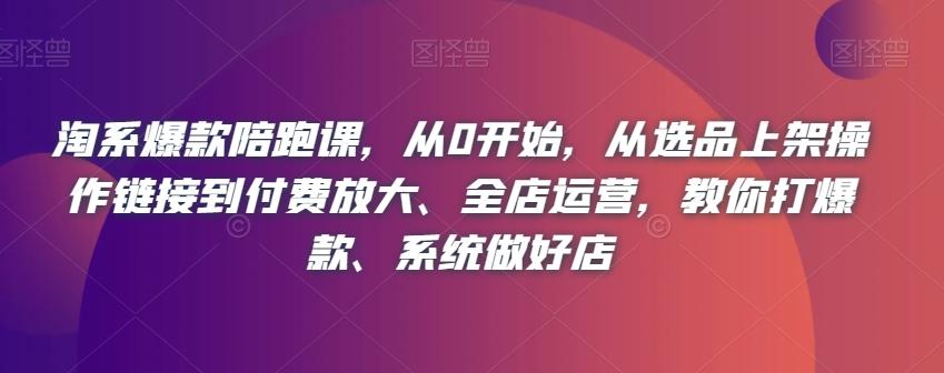 淘系爆款陪跑课，从0开始，从选品上架操作链接到付费放大、全店运营，教你打爆款、系统做好店-E家云商