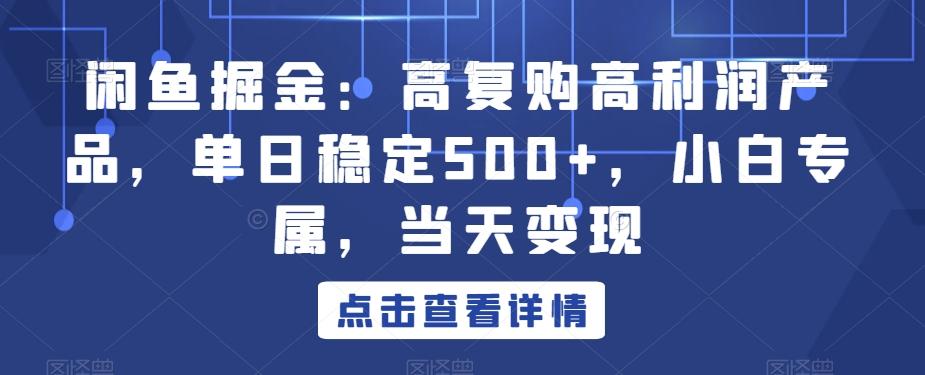 闲鱼掘金：高复购高利润产品，单日稳定500+，小白专属，当天变现-e家网