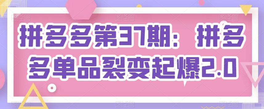 拼多多第37期：拼多多单品裂变起爆2.0-E家云商