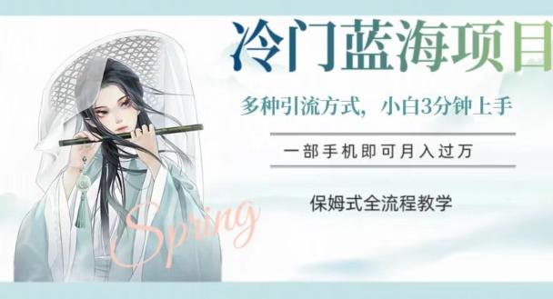冷门蓝海项目，操作简单，小白3分钟上手，多种引流方式，保姆式全流程教学【揭秘】-E家云商
