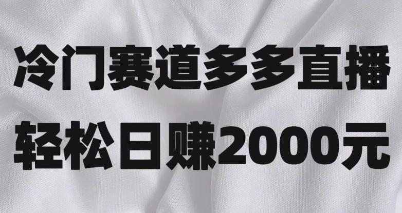 冷门赛道拼多多直播，简单念稿子，日收益2000＋【揭秘】-E家云商