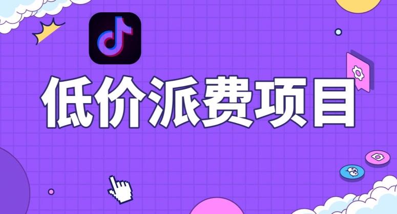 抖音低价派单项目，0门槛，日入1000+很轻松，小白可操作【揭秘】-E家云商