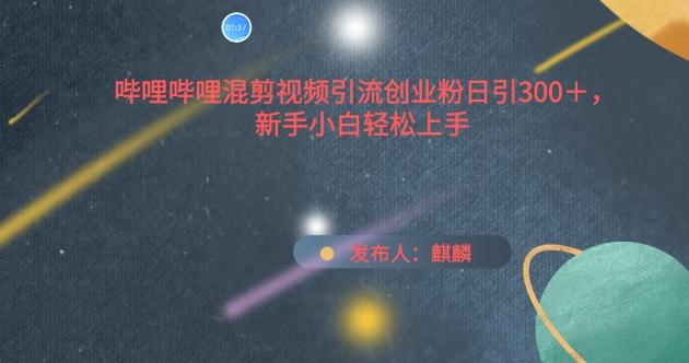 哔哩哔哩混剪视频引流创业粉日引300+，新手小白轻松上手【揭秘】-E家云商