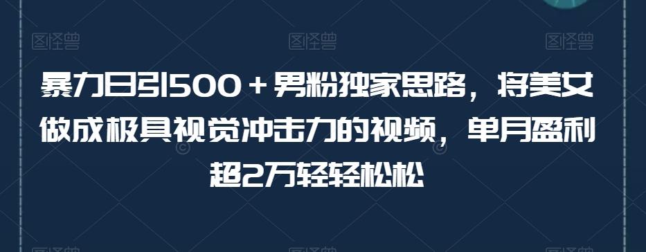 暴力日引500＋男粉独家思路，将美女做成极具视觉冲击力的视频，单月盈利超2万轻轻松松-E家云商