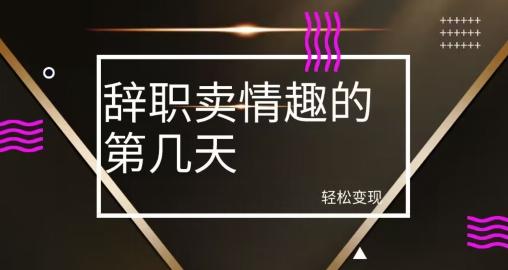 冷门赛道，辞职卖情趣的第几天，超暴力项目-E家云商