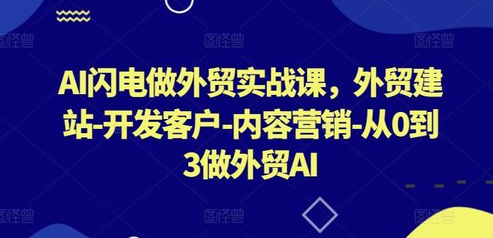 AI闪电做外贸实战课，​外贸建站-开发客户-内容营销-从0到3做外贸AI-E家云商
