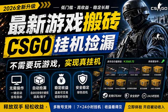 最新游戏搬砖，CSGO纯挂机，不需要玩游戏，实现真挂机，月入1W+，五一小高峰上车可吃肉，...-E家云商