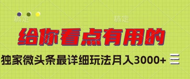 独家微头条最详细玩法，月入3000+【揭秘】-E家云商