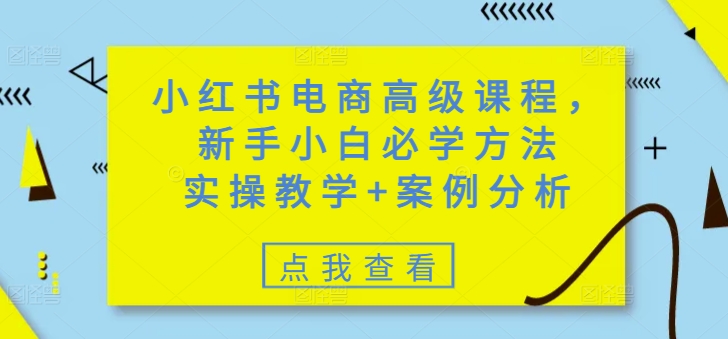 小红书电商高级课程，新手小白必学方法，实操教学+案例分析-E家云商