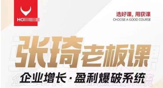 【组合课】张琦张琦老板企业增长·盈利爆破系统（直播专享）-E家云商