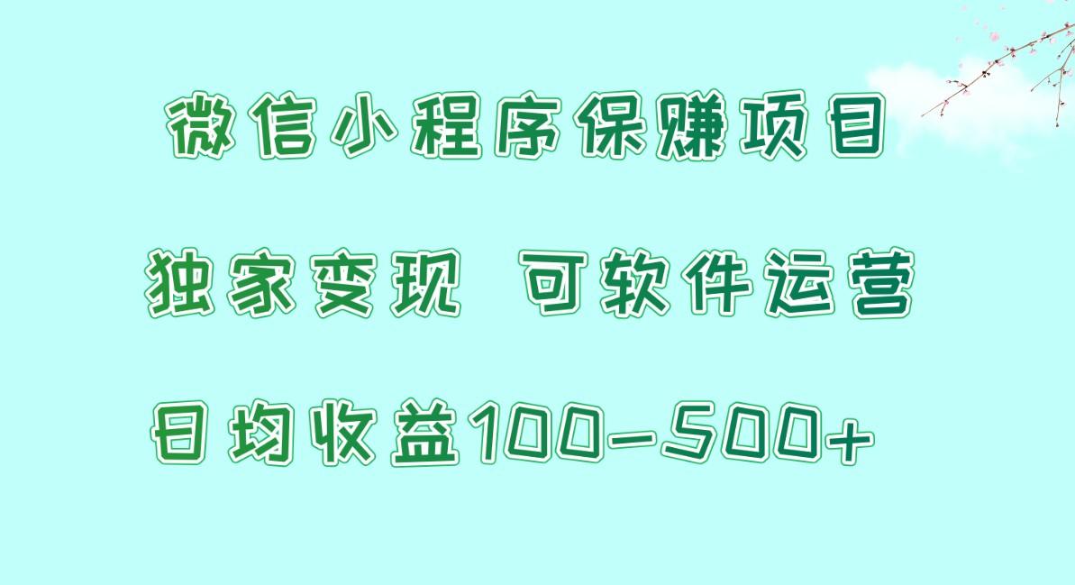 微信小程序保赚项目，日均收益100~500+，独家变现，可软件运营-E家云商
