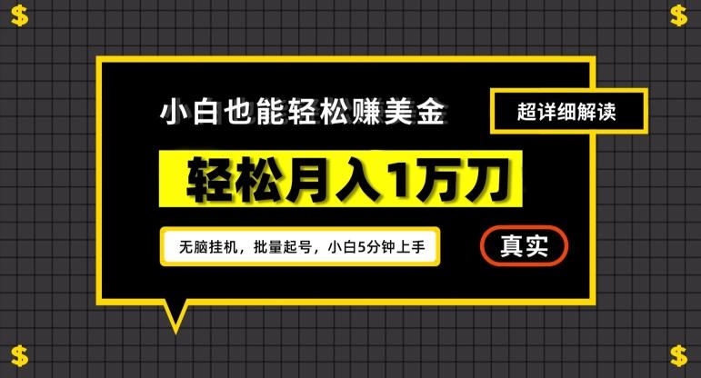 谷歌看广告撸美金2.0，无脑挂机，多号操作，月入1万刀【揭秘】-E家云商