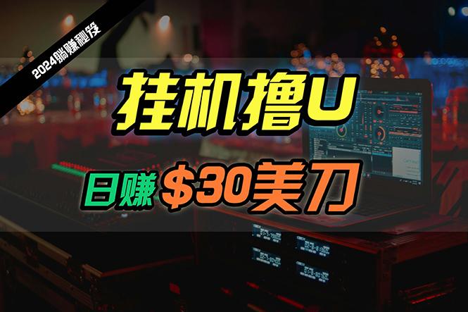 (10013期)日赚30美刀，2024最新海外挂机撸U内部项目，全程无人值守，可批量放大-E家云商