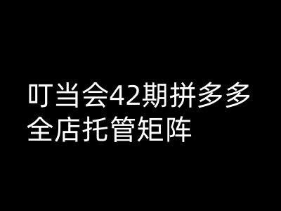 叮当会拼多多打爆班原创高阶技术第42期，拼多多全店托管矩阵-E家云商