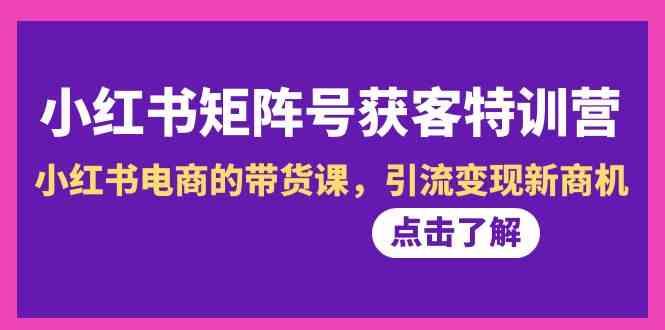 小红书矩阵号获客特训营-第10期，小红书电商的带货课，引流变现新商机-e家网