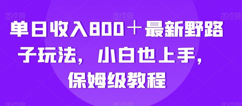 单日收入800＋最新野路子玩法，小白也上手，保姆级教程-w 刷的