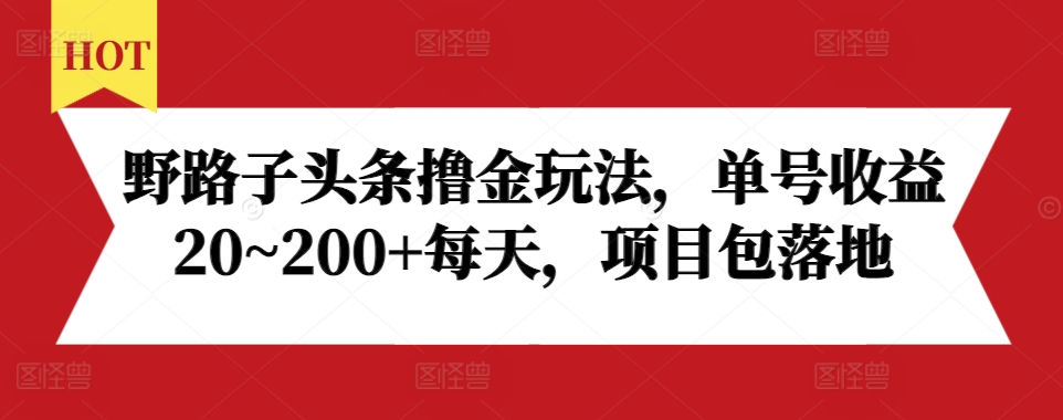 野路子头条撸金玩法，单号收益20~200+每天，项目包落地-E家云商