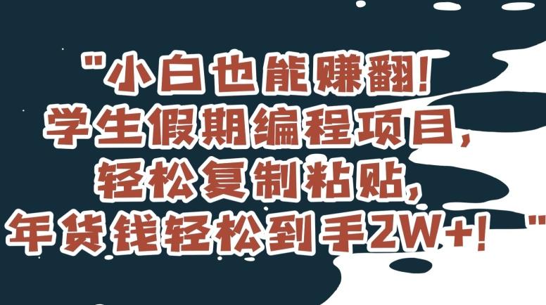 小白也能赚翻！学生假期编程项目，轻松复制粘贴，年货钱轻松到手2W+【揭秘】-e家网