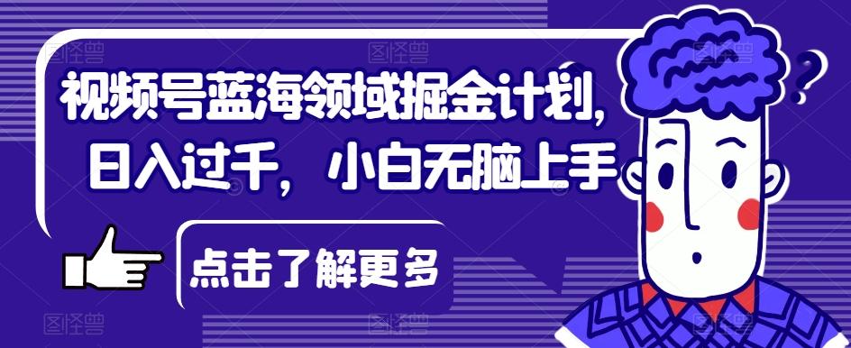 视频号蓝海领域掘金计划，日入过千，小白无脑上手【揭秘】-E家云商