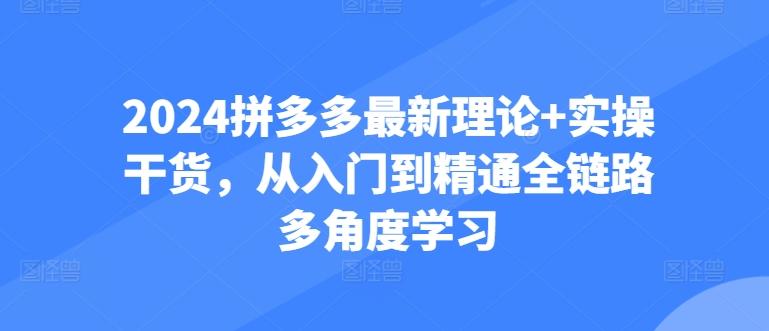 2024拼多多最新理论+实操干货，从入门到精通全链路多角度学习-E家云商