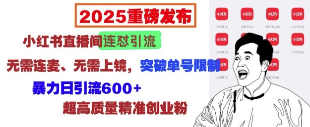 2025重磅发布：小红书直播间连怼引流，无需连麦、无需上镜，突破单号限制，暴力日引流600+-E家云商